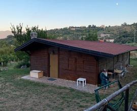 Baita in legno piu 1500 metri d terreno