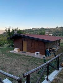 Baita in legno piu 1500 metri d terreno