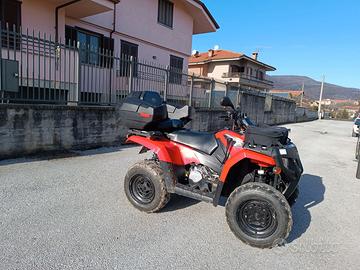 Quad Polaris hawkeye 300