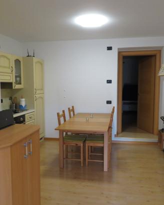Porzione con 2 appartamenti