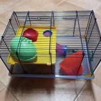 gabbia per criceti 