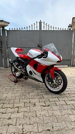 Yamaha r6 pista