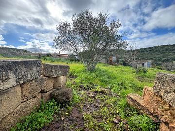 Terreno Agricolo - Alghero