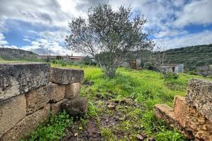 Terreno Agricolo - Alghero