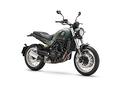 benelli-leoncino-500-trail