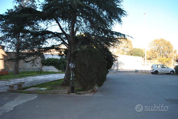 Panoramico quadrivano P.ssi Ospedale Brotzu