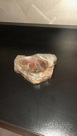 Posacenere in legno fossile naturale 