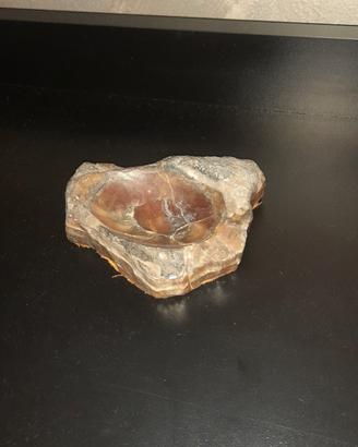 Posacenere in legno fossile naturale 