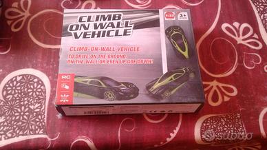 Macchinina telecomandata