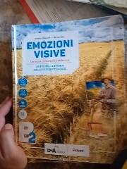 Emozioni visive 
