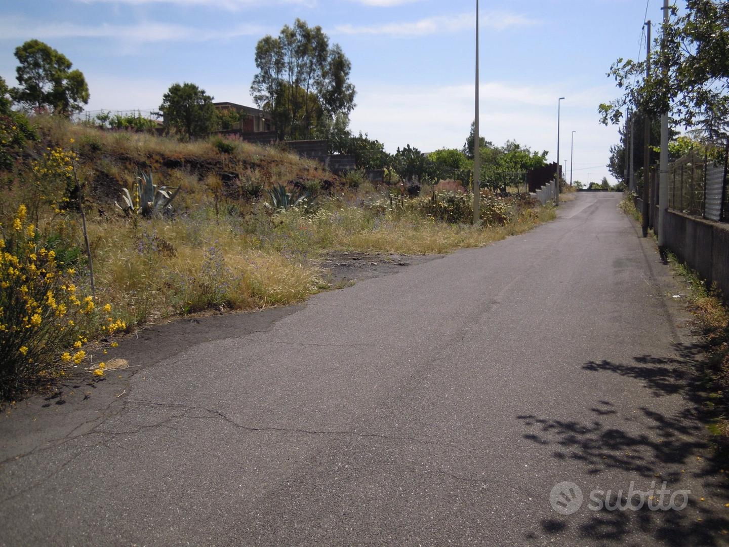 Terreno 3.000 mq zona C con prospetto strada - Vista 2