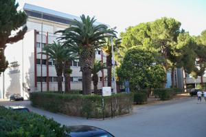 Zona politecnico - campus solo per studentesse