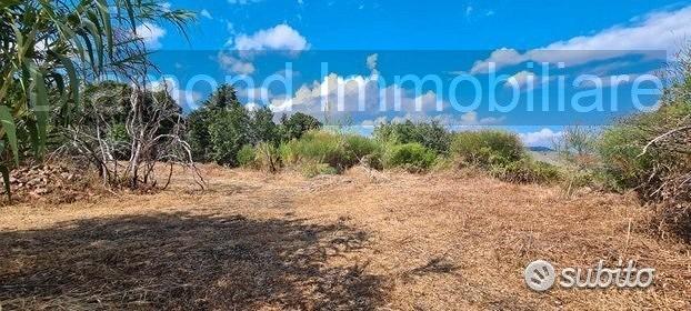 Terreno agricolo 3.800 mq panoramico a san gerardo - Vista 4