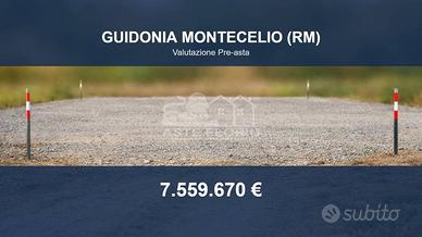 Immobile in asta di 206359 m² a Guidonia Monteceli