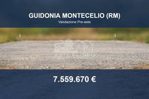 Immobile in asta di 206359 m² a Guidonia Monteceli