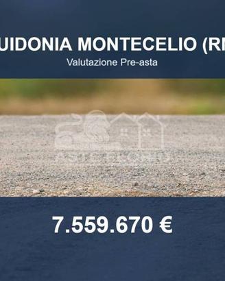 Immobile in asta di 206359 m² a Guidonia Monteceli