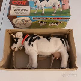 josie the walking cow