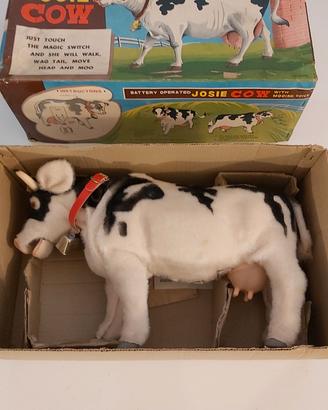 josie the walking cow