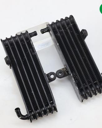 Radiatore olio APRILIA Tuono 1000 R