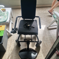 Carrozzina elettrica