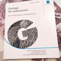 Geologia del sedimentario Tucker Flaccovio Editore