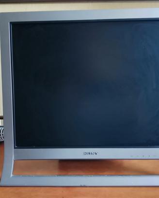 Monitor 19" Sony SDM-HS95 per PC