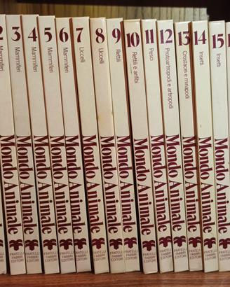 Enciclopedia (prima parte)