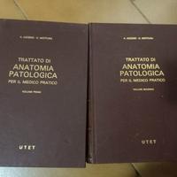 trattato di anatomia patologica utet