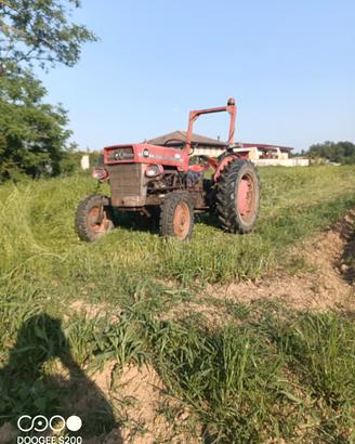 trattore massey Ferguson 