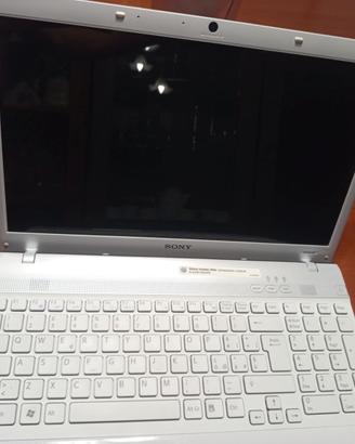 Computer Sony Vaio