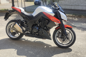 Kawasaki Z1000 Perfetta