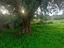 Immagine 15