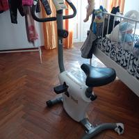 Cyclette Everlast