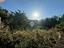 Immagine 22