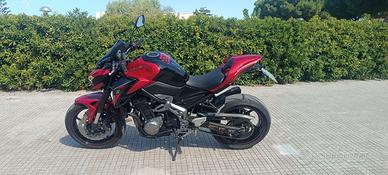 Kawasaki Z 900 Performance