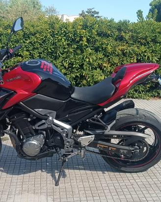 Kawasaki Z 900 Performance