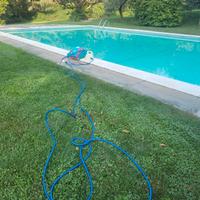 Pulitore piscina