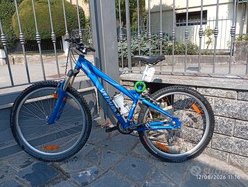 Mountain bike