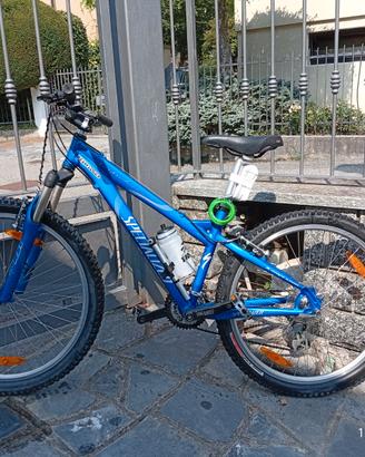 Mountain bike