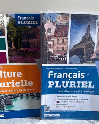 Français pluriel francese
