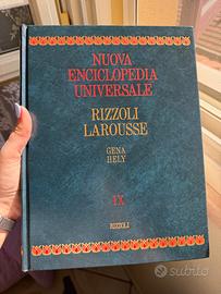 Enciclopedia Universale Rizzoli Larousse