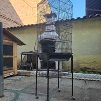 gabbia per pappagalli