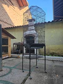 gabbia per pappagalli