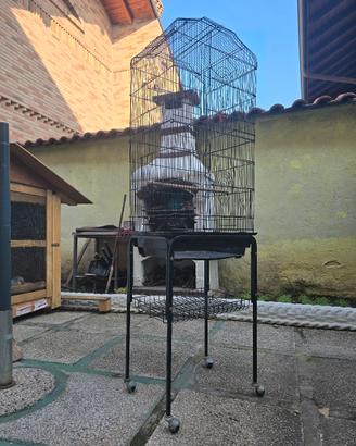 gabbia per pappagalli
