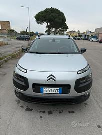 C4 cactus