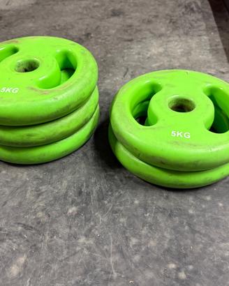 Dischi 5 kg palestra