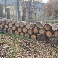 Tronchi di pino