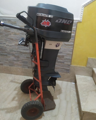 Cambio mariner Mercury