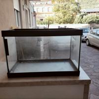 acquario 
