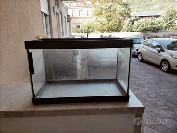 acquario 